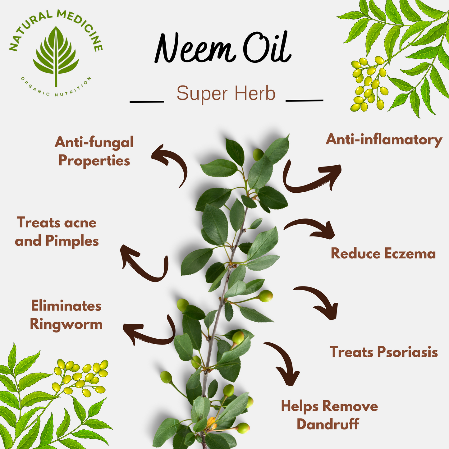Neem Oil